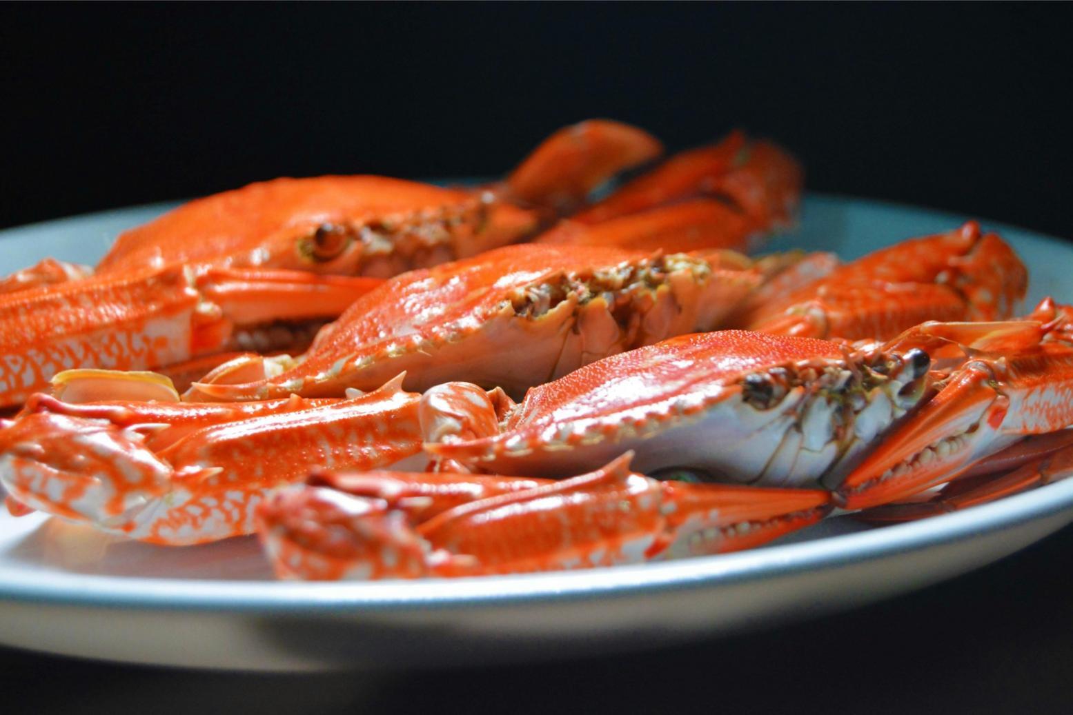 Consulenza nutrizionale personalizzata presso Nriptex con focus su alimentazione vegetale